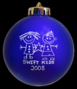 Click to see larger version (331x380 pixels; 41 KB)